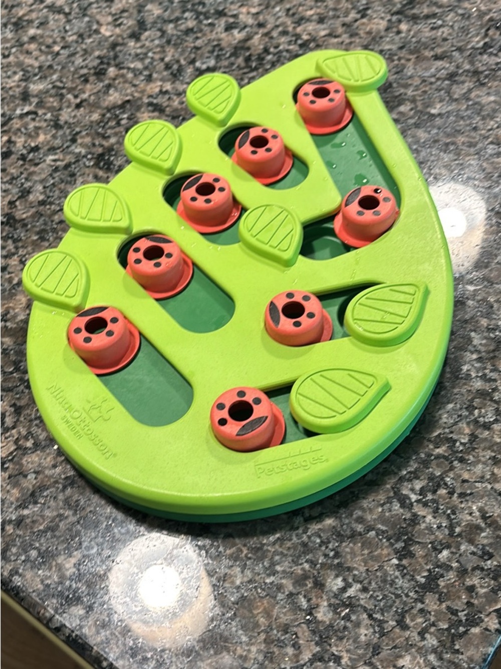 Green and Orange Treat Puzzle for Cats